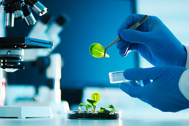 Baolingbao Biology Co., Ltd. 2025 Annual Summary and Commendation Meeting